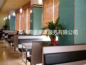 鄭州同孚家政，專業(yè)沙發(fā)保養(yǎng)服務(wù)與物業(yè)管理一體化解決方案